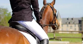 haras-du-parc-nexon haras-du-parc-nexon