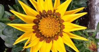 Le soleil est ici !_45 Le soleil est ici !_45