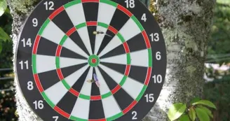 ...de jeu de fléchettes_37 ...de jeu de fléchettes_37