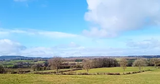 vue juste derrière le terrain vue juste derrière le terrain