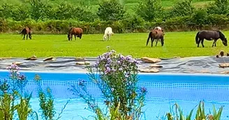 Domaine des Maisons - Châlus Domaine des Maisons - Châlus