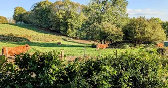 Gite de Belle Vue sur la commune de Dournazac en Haute-Vienne - Nouvelle Aquitaine_2