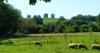 Camping-à-la-ferme-La-Noyeraie Camping-à-la-ferme-La-Noyeraie