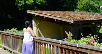 Aire de pique-nique - Saint-Jean-Ligoure