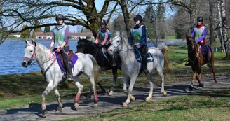 Sentier des carrieres (Equestre)_2